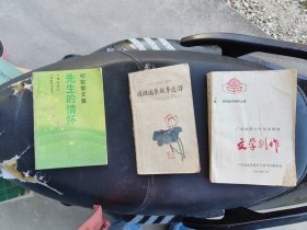 文学书3册