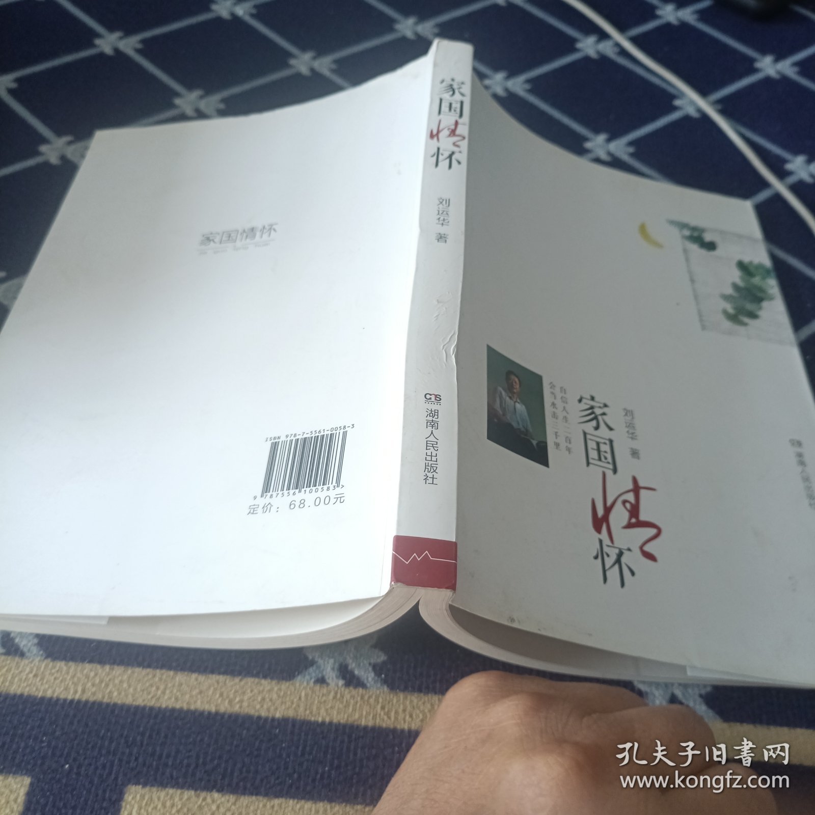 家国情怀