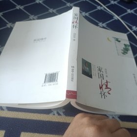 家国情怀