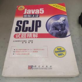 JAVA开发专家：Java5国际认证SCJP试题精解