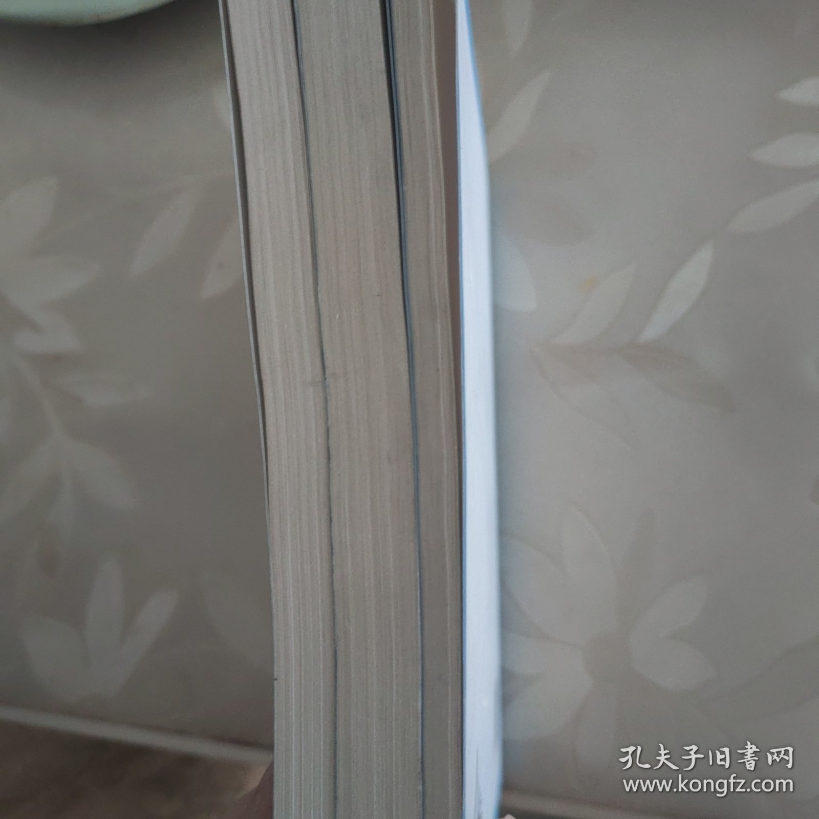 铁路技术管理规程（高速铁路部分）条文说明（下册）