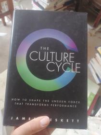 THE CULTURE CYCLE