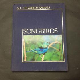 Songbirds「All the world's animals」