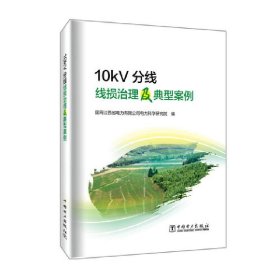 10kV分线线损治理及典型案例