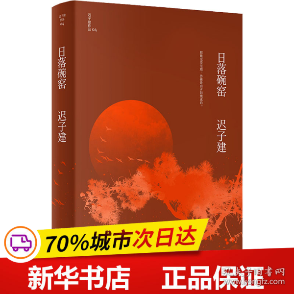 日落碗窑（茅盾文学奖、鲁迅文学奖得主迟子建小说代表作）