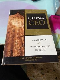 China CEO: A Case Guide for Business Leaders in China  中国CEO: 中国商业领袖的案例指南