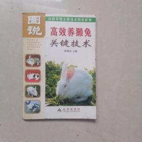 图说高效养獭兔关键技术