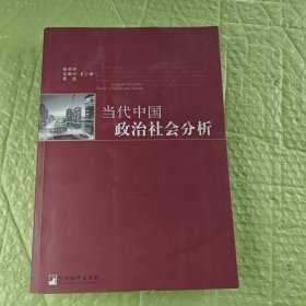 当代中国政治社会分析