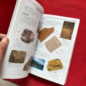 岩石与矿物：全世界500多种岩石与矿物的彩色图鉴