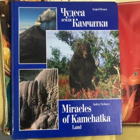 Miracles of Kamchatka【奇迹的堪察加半岛