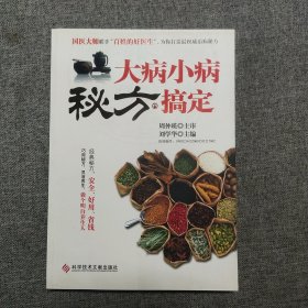 正版 大病小病秘方搞定 t