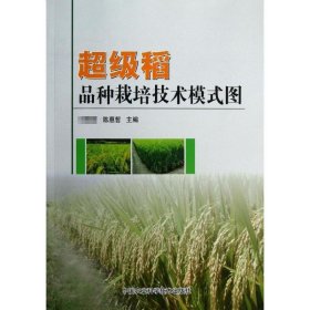 稻品种栽培技术模式图