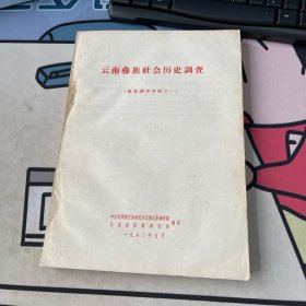 云南彝族社会历史调查（黎族 调查材料之一）