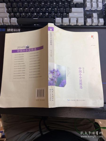 2014年中国小小说精选