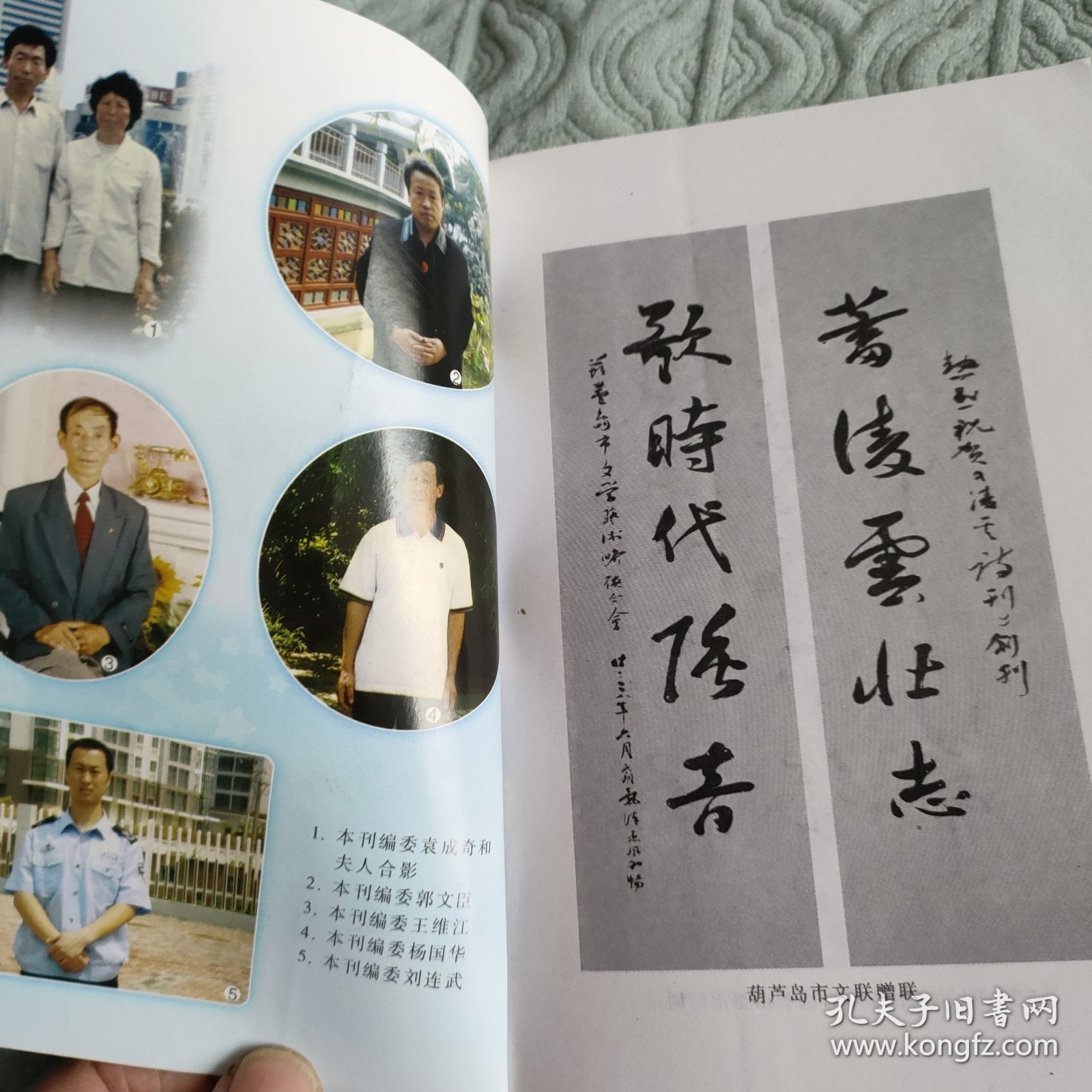 凌云诗刊(创刊号)