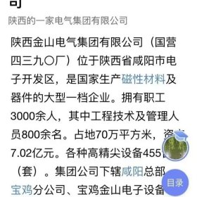 稀少陕西金山电气总厂(国营四三九零厂)债券套票 罕见天安门水印