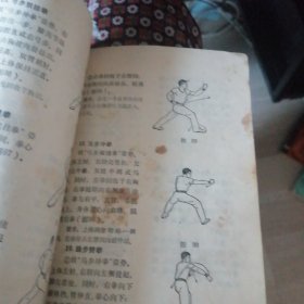 广东南拳。