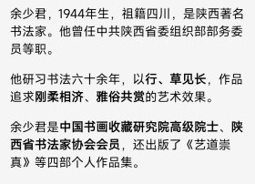 陕西著名书法家余少君老师书法《念奴娇赤壁怀古》小六尺。2025