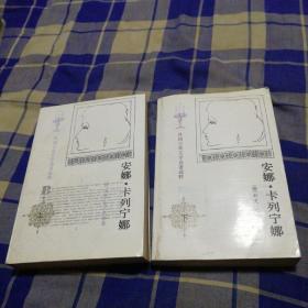 安娜.卡列尼娜 上下