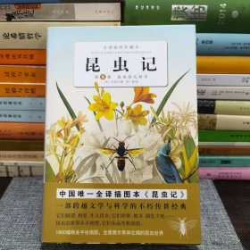 昆虫记第八卷： 昆虫的几何学