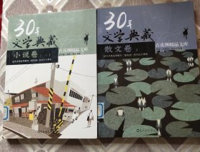 30年文学典藏·小说卷（二）