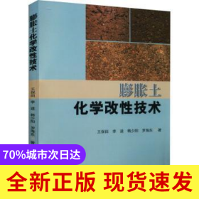 膨脹土化學改性技術