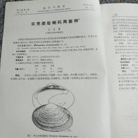 双壳类蛤蜊科两新种
