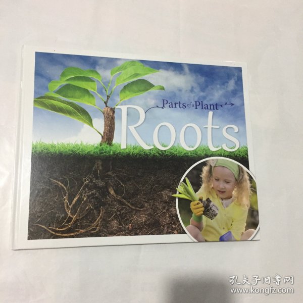 Parts of a Plant Roots  英文童书   精装横开