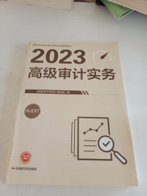 高级审计实务.2023