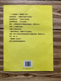 胡萝卜种子
