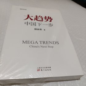 大趋势 中国下一步