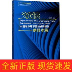 2018中国城市地下管线发展报告 供排水篇