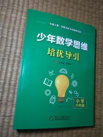 少年数学思维培优导引 小学六年级（一版一印）正版现货 内干净无写涂划 品如图 实物拍图