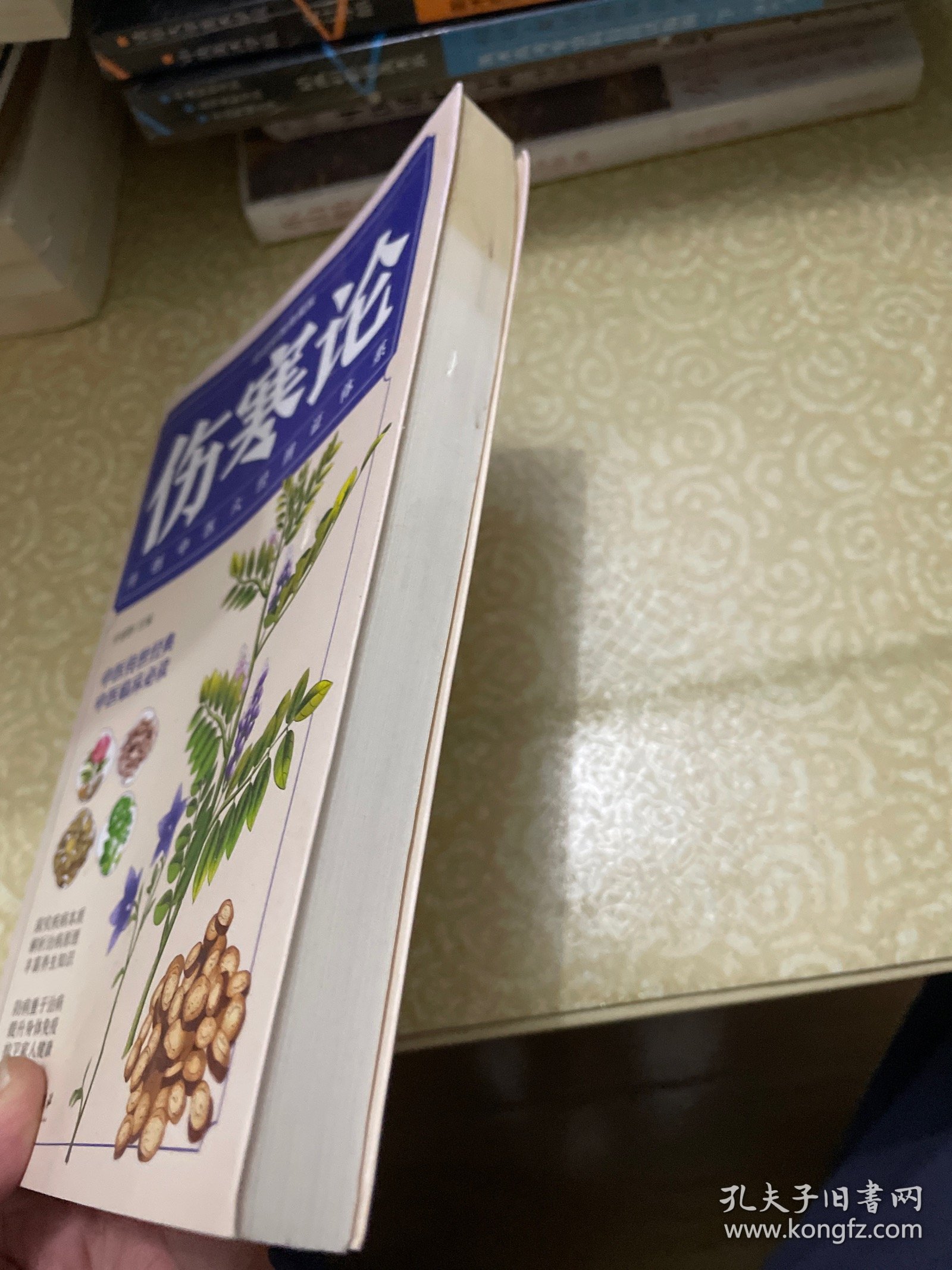 伤寒论（白话彩图典藏版）