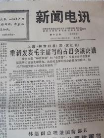 淄博报纸