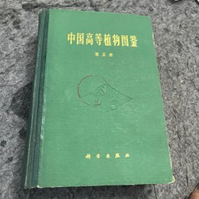 中国高等植物图鉴（第五册）