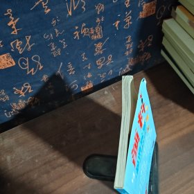 与颜料一起的玩耍 70个创意美术游戏