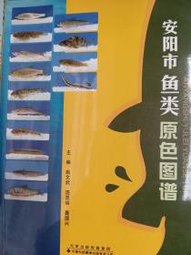 安阳市鱼类原色图谱