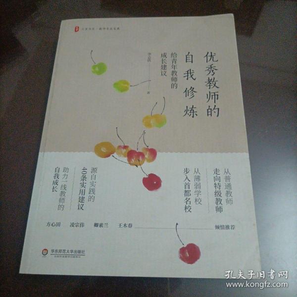 优秀教师的自我修炼：给青年教师的成长建议 大夏书系