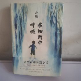 在细雨中呼喊（精装版）