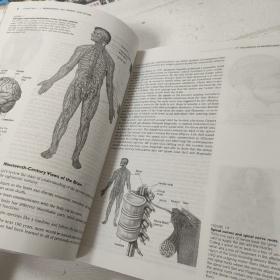 神经科学：探索脑（第3版）（影印版）【英文版】【开页有破损，内页完好，品看图】