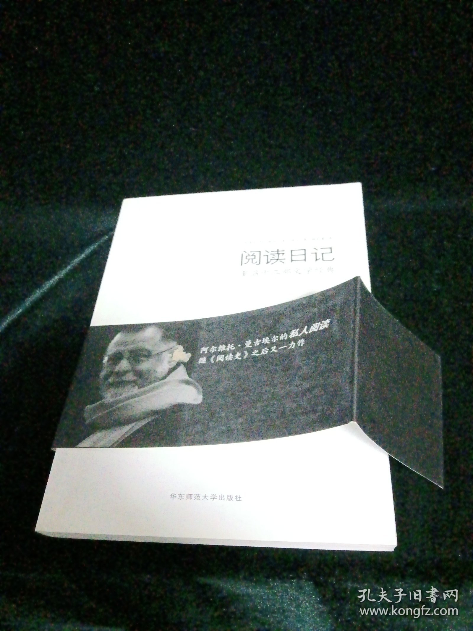 阅读日记：重温十二部文学经典