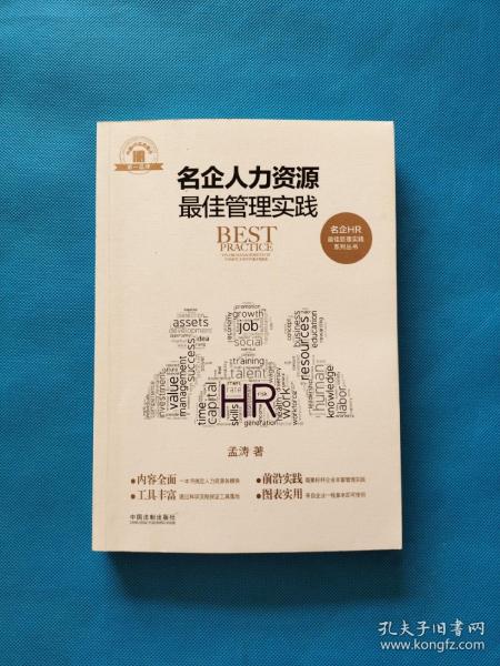 名企人力资源最佳管理实践/名企HR最佳管理实践系列丛书