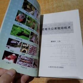 草莓无公害栽培技术