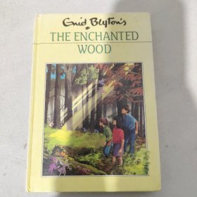 The Enchanted Wood