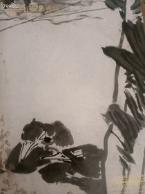 双十一大处理 精美书画专场十本98元 2号树林