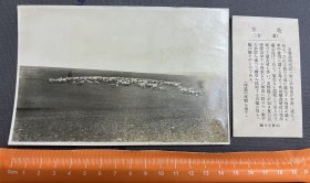 03533 蒙古 草原 牧羊 牛 亚东印画辑 照片大小11*15.3cm 民国 时期 老照片