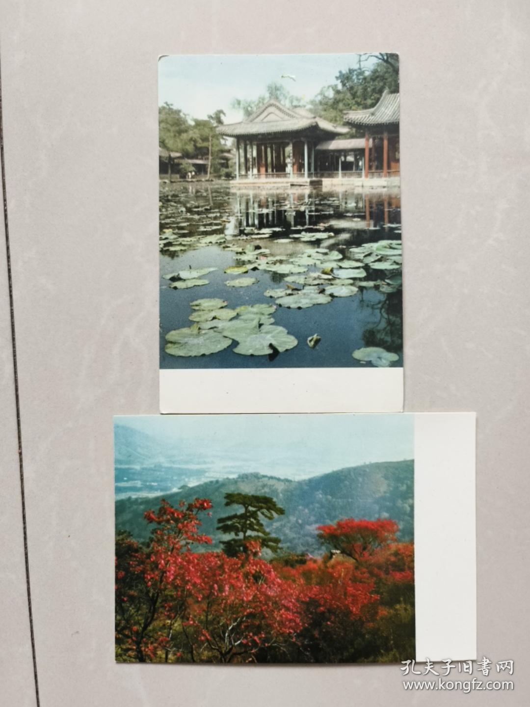 50年代老明信片:香山红叶等两枚