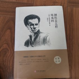 钢铁是怎样炼成的