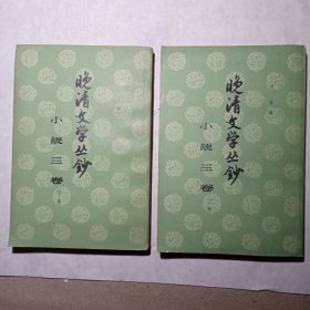 晚清文学丛钞 小说三卷 全两册